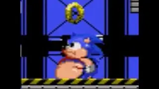 Fat Sonic 5B/Full Walkthrough