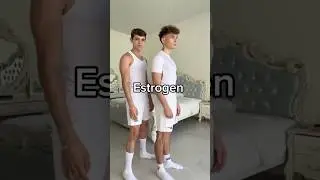 TESTOSTERONE☠️ #prysko #спорт #сила #motivation #качалка #testosteron #estrogen