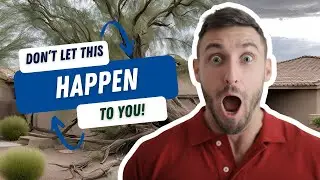 Monsoon Prep:  Why Early Summer Pruning is Crucial for Desert Tree Care