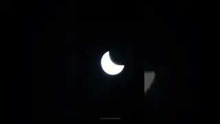 See the Plane, UFO, Hawk & Crow Fight during Solar Eclipse?