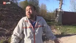 похуй