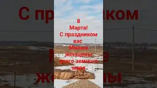 8 марта 2024 г.