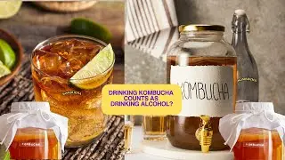 The KOMBUCHA Alcohol Truth Does Drinking Kombucha