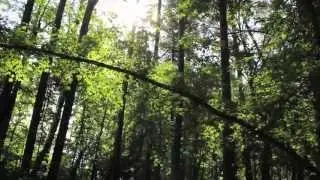 Lost-Aid