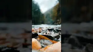 #nature #rain #fallweather  🌧️😴💤☘️🪴🧘‍♂️🧘‍♀️