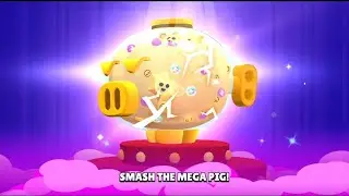 OPENING A FULL MEGA PIG