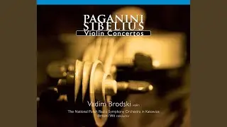 Violin Concerto No. 1 in D Major, Op. 6, MS 21: I. Allegro maestoso