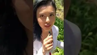 ASMR en la naturaleza 2.0 🌿 