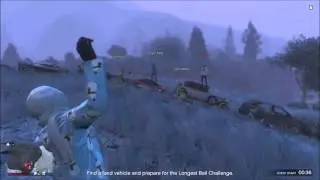 Snowball Brawl/ Firework Show/ Flare show