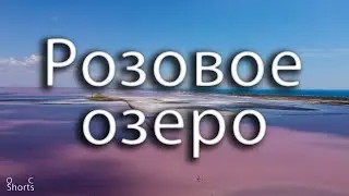 РОЗОВОЕ ОЗЕРО. САСЫК-СИВАШ | PINK LAKE. SASYK-SIVASH [OC Shorts] Крым | Crimea