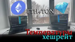Майнинг ТОН в Дуал Майнинге от lolminer 1.43