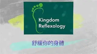 TLSS - Kingdom Reflexology
