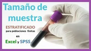 Tamaño de la Muestra Estratificado para poblaciones finitas en Excel y SPSS