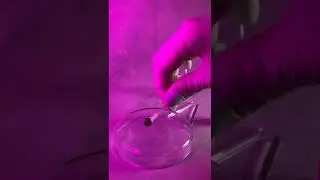 Как очистить клей со стекла? 🤨