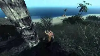 The stomping land|Первые шаги|#1