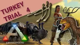 How to GET WISHBONES and how to USE them? ARK Turkey Trial 4 Guide