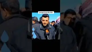 Şengal 2014