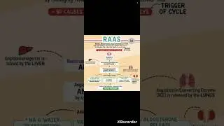 RAAS