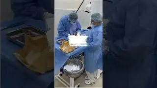 Вазектомія / Vasectomy / Вазэктомия