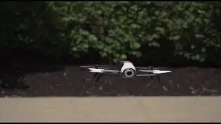 Parrot Edu