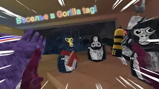 веселье в gorilla tag! - Gorilla tag