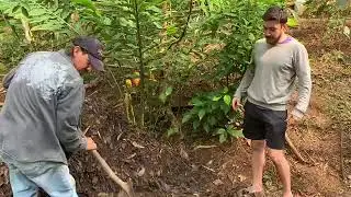 Mariposario Andoke // Bokashi Compost (EN INGLES)