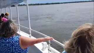 Dolphin Cruise Orange Beach 2016
