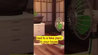 Did you know that in ANIMAL CROSSING: NEW HORIZONS...