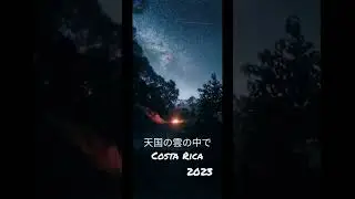Living Forest 2023