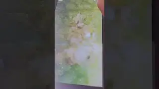 Leaf 🍀 Vs Ultra Zooming 🤯