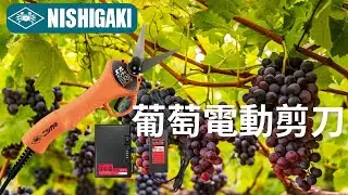 世界首創日本螃蟹牌電動芽切剪刀
