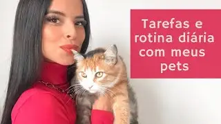 Tarefas / rotina diária com meus pets