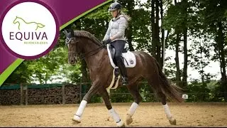 Homestory - Zu Gast bei EQUIVA-Nachwuchsreiterin Laura