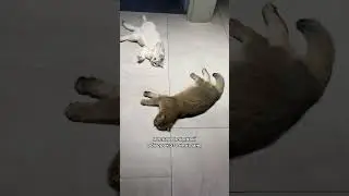 Узнала страшную правду