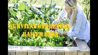 Survival garden: Raised beds