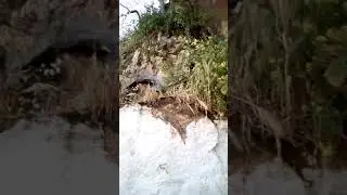 Дома под акрополем