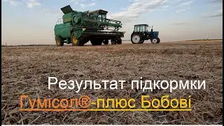 Жнива сої, ремонт комбайна та результат підкормки Гумісол®-плюс Бобові.