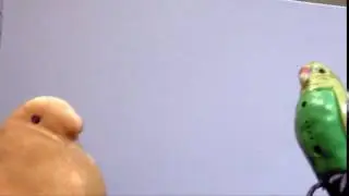 I TOLD YOU NOT TO MESS WITH ME.