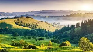 Morning Walk is a Great Technique to be Relaxed in a Whole Day. #relax #relaxingmusic