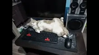 Куда пропала\ Что нового