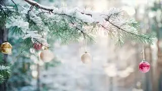 Christmas_adventure_Part_.mp4