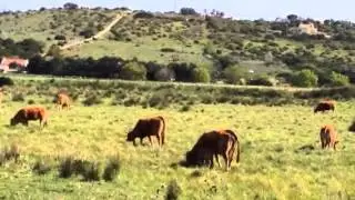 New Born and Mother Love