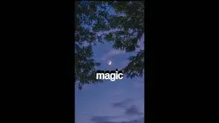 [FREE] 