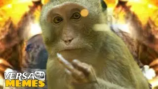 ♪ Sun Wukong (Shuumatsu no Valkyrie - Gods Apocalypse) | AniRap - VERSÃO MEMES