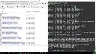 Installing Gentoo Part 2 (chroot)