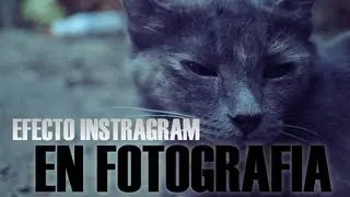 Efecto instagram en fotografia - Adobe Photoshop