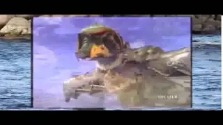When Animals Fight Back!