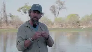 Alan McSmith with Natucate in the Okavango Delta, Botswana: An Ecological Miracle