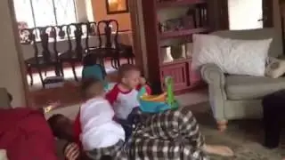 Jack Noah Joey wrestle