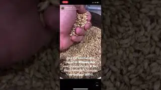 Варим эль